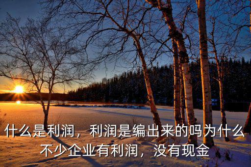 什么是利潤，利潤是編出來的嗎為什么不少企業(yè)有利潤，沒有現(xiàn)金