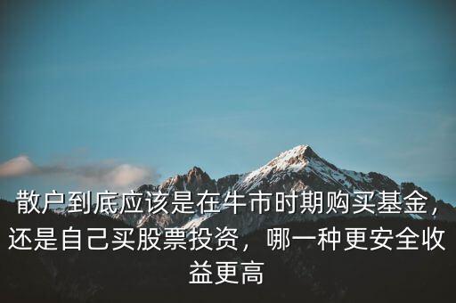 散戶到底應(yīng)該是在牛市時(shí)期購(gòu)買基金，還是自己買股票投資，哪一種更安全收益更高