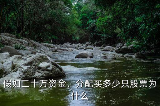 假如二十萬資金，分配買多少只股票為什么