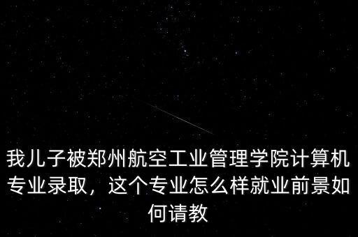 我兒子被鄭州航空工業(yè)管理學(xué)院計算機專業(yè)錄取，這個專業(yè)怎么樣就業(yè)前景如何請教