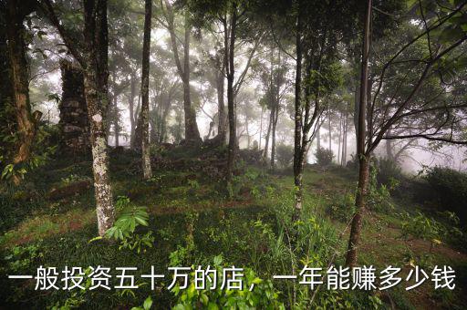 一般投資五十萬(wàn)的店，一年能賺多少錢