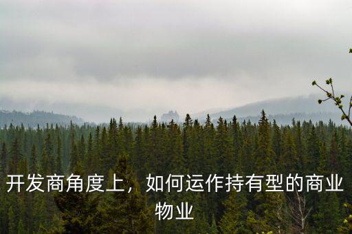 開發(fā)商角度上，如何運作持有型的商業(yè)物業(yè)