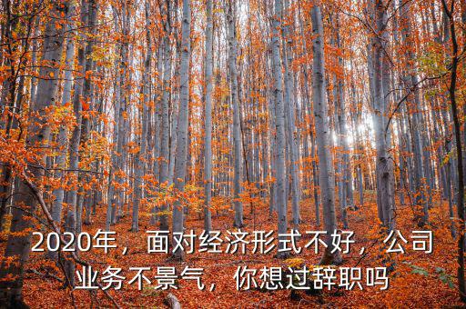 2020年，面對經(jīng)濟形式不好，公司業(yè)務不景氣，你想過辭職嗎