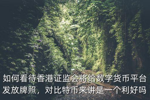 如何看待香港證監(jiān)會(huì)將給數(shù)字貨幣平臺(tái)發(fā)放牌照，對(duì)比特幣來(lái)講是一個(gè)利好嗎