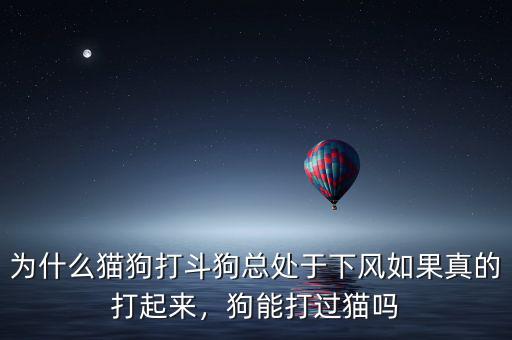 斗狗輸了狗一般怎么辦,為什么貓狗打斗狗總處于下風