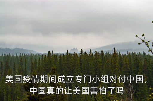 美國疫情期間成立專門小組對付中國，中國真的讓美國害怕了嗎
