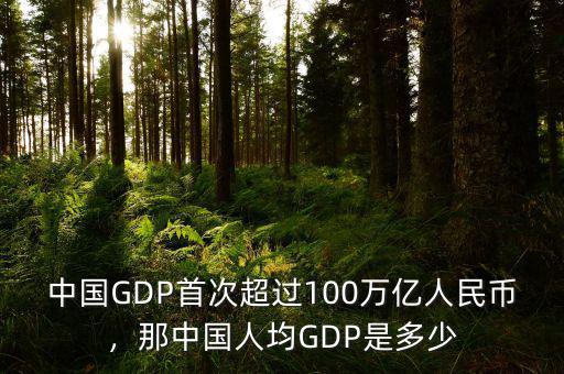 中國GDP首次超過100萬億人民幣，那中國人均GDP是多少