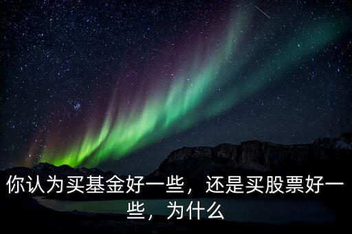 你認(rèn)為買(mǎi)基金好一些，還是買(mǎi)股票好一些，為什么