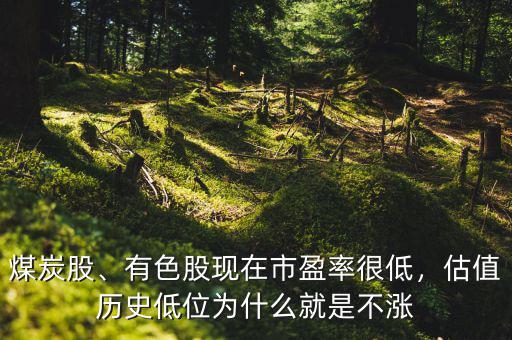 煤炭股、有色股現(xiàn)在市盈率很低，估值歷史低位為什么就是不漲