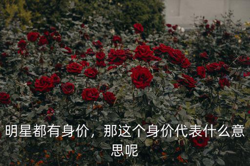 明星都有身價(jià)，那這個(gè)身價(jià)代表什么意思呢