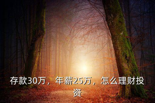 存款30萬，年薪25萬，怎么理財(cái)投資