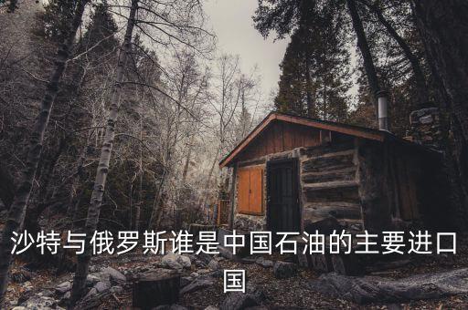 沙特與俄羅斯誰是中國石油的主要進口國