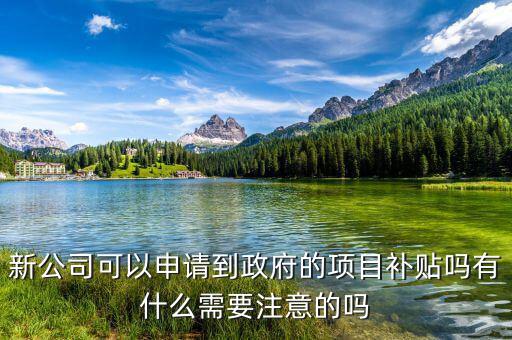 新公司可以申請到政府的項(xiàng)目補(bǔ)貼嗎有什么需要注意的嗎