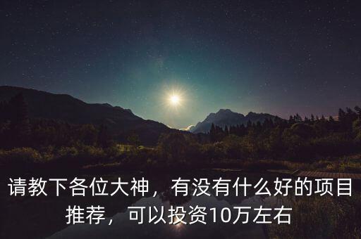 請教下各位大神，有沒有什么好的項目推薦，可以投資10萬左右