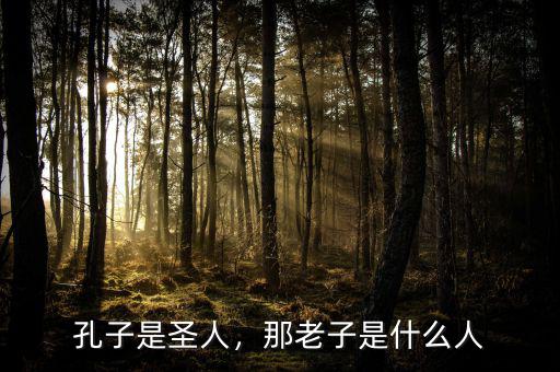 孔子是圣人，那老子是什么人