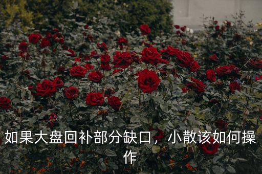 如果大盤回補部分缺口，小散該如何操作
