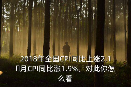 2018年全國CPI同比上漲2.1月CPI同比漲1.9%，對此你怎么看