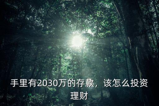 手里有2030萬的存款，該怎么投資理財