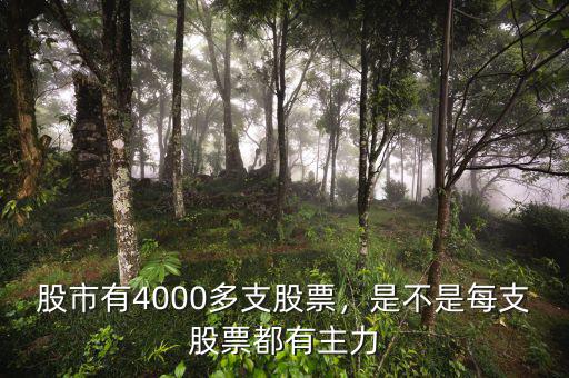 股市有4000多支股票，是不是每支股票都有主力