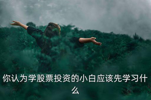 炒股應(yīng)該學什么,股票第一步應(yīng)該學什么