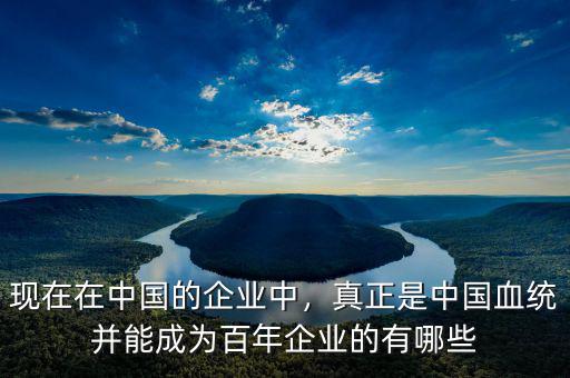 現(xiàn)在在中國的企業(yè)中，真正是中國血統(tǒng)并能成為百年企業(yè)的有哪些