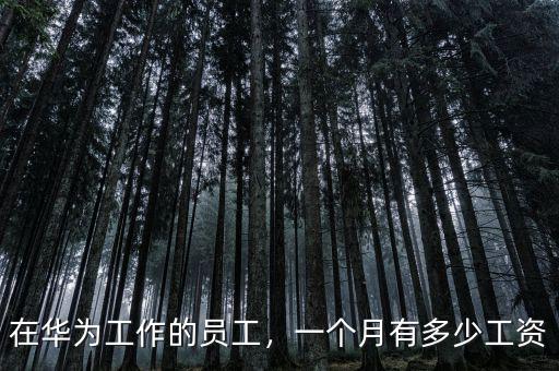 在華為工作的員工，一個(gè)月有多少工資