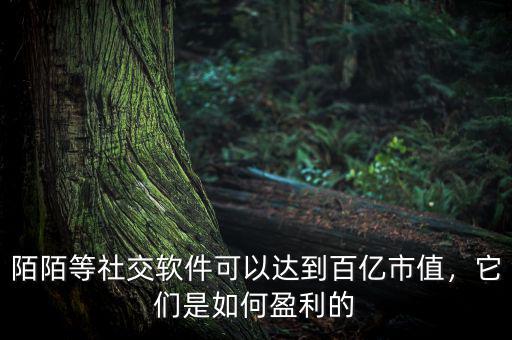 陌陌等社交軟件可以達(dá)到百億市值，它們是如何盈利的