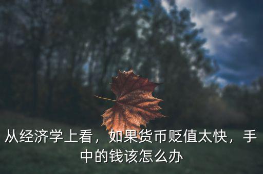 從經(jīng)濟(jì)學(xué)上看，如果貨幣貶值太快，手中的錢該怎么辦