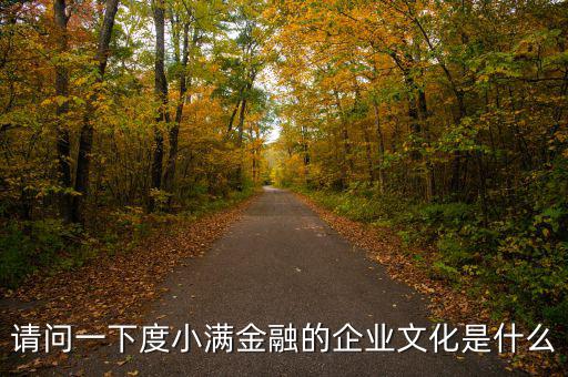 請(qǐng)問(wèn)一下度小滿(mǎn)金融的企業(yè)文化是什么