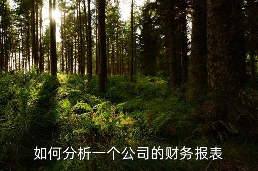 怎么分析公司,如何分析一個公司的財(cái)務(wù)報(bào)表