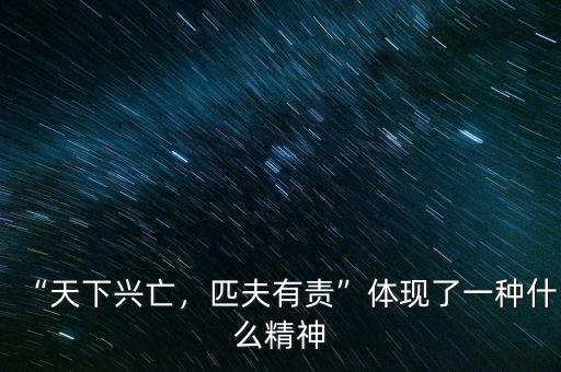 “天下興亡，匹夫有責”體現了一種什么精神