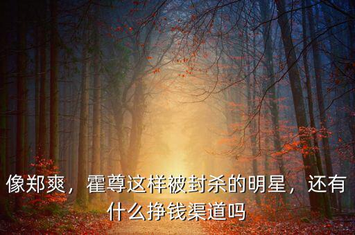 像鄭爽，霍尊這樣被封殺的明星，還有什么掙錢(qián)渠道嗎