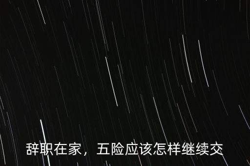 辭職在家，五險應(yīng)該怎樣繼續(xù)交