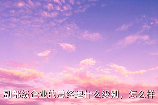 副部級企業(yè)的總經(jīng)理什么級別，怎么樣