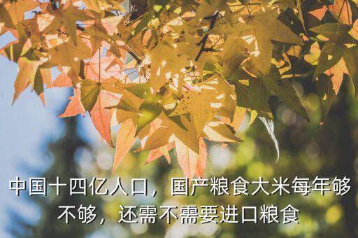 中國十四億人口，國產(chǎn)糧食大米每年夠不夠，還需不需要進口糧食