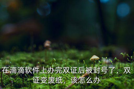 在滴滴軟件上辦完雙證后被封號(hào)了，雙證變廢紙，該怎么辦