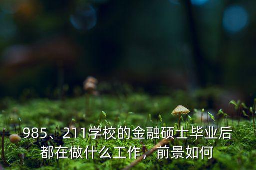 985、211學(xué)校的金融碩士畢業(yè)后都在做什么工作，前景如何