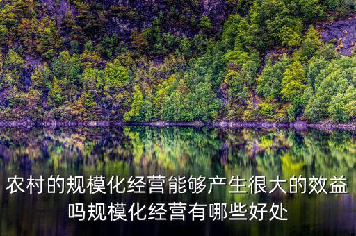 農村的規(guī)?；洜I能夠產生很大的效益嗎規(guī)?；洜I有哪些好處