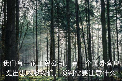 我們有一家工貿(mào)公司，有一個國外客戶提出想入股我們，談判需要注意什么