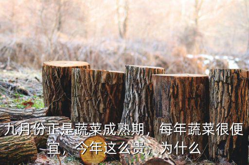九月份正是蔬菜成熟期，每年蔬菜很便宜，今年這么貴，為什么