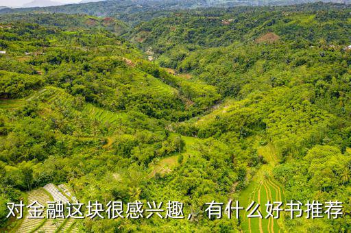 對(duì)金融這塊很感興趣，有什么好書推薦