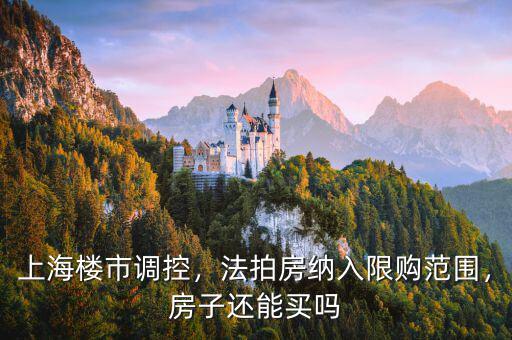 上海樓市調(diào)控，法拍房納入限購范圍，房子還能買嗎