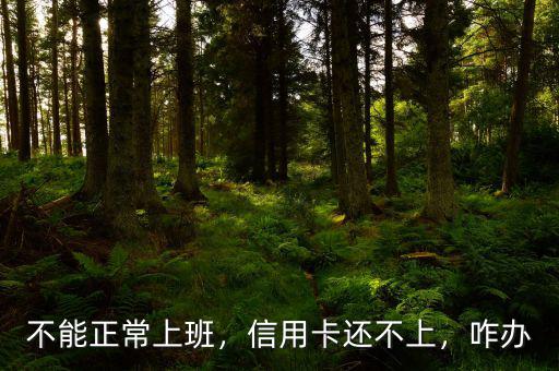 不能正常上班，信用卡還不上，咋辦