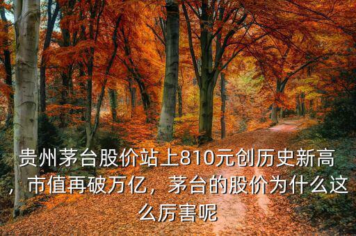 貴州茅臺(tái)股價(jià)站上810元?jiǎng)?chuàng)歷史新高，市值再破萬億，茅臺(tái)的股價(jià)為什么這么厲害呢