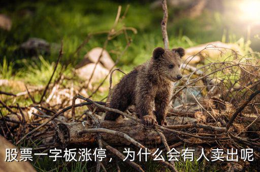 股票一字板漲停，為什么會有人賣出呢