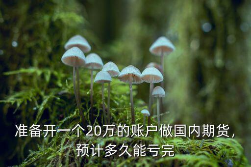 準(zhǔn)備開(kāi)一個(gè)20萬(wàn)的賬戶做國(guó)內(nèi)期貨，預(yù)計(jì)多久能虧完