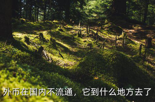 外幣在國內(nèi)不流通，它到什么地方去了