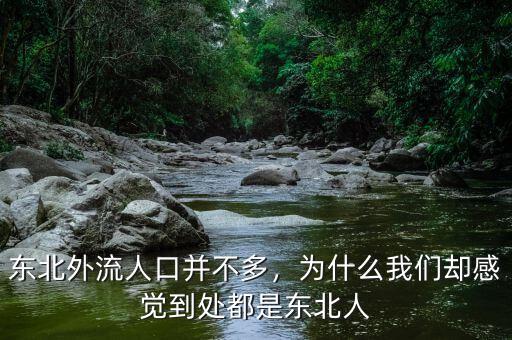 東北外流人口并不多，為什么我們卻感覺到處都是東北人