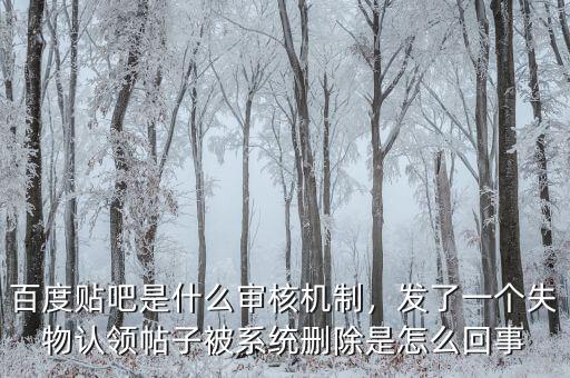 百度貼吧是什么審核機制，發(fā)了一個失物認領(lǐng)帖子被系統(tǒng)刪除是怎么回事