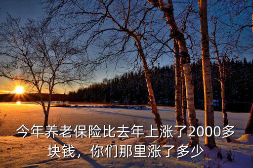 今年養(yǎng)老保險比去年上漲了2000多塊錢，你們那里漲了多少